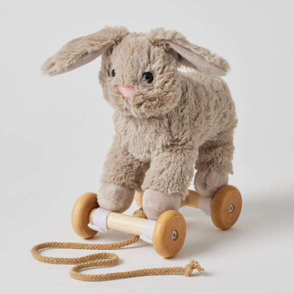 "Jiggle & Giggle" - Plush Pull Along - Bunny