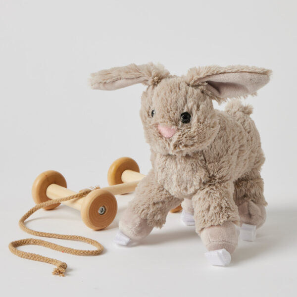 "Jiggle & Giggle" - Plush Pull Along - Bunny
