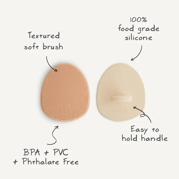 "Mushie" - Cradle Cap Brush - 2 Pack