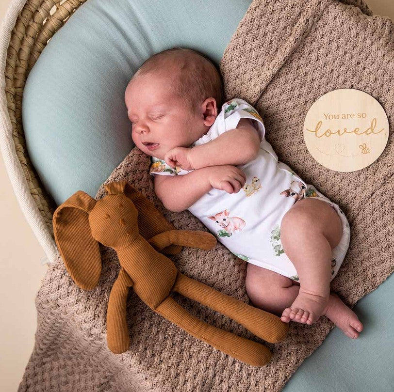 "Snuggle Hunny" - Short Sleeve Bodysuit - Farm
