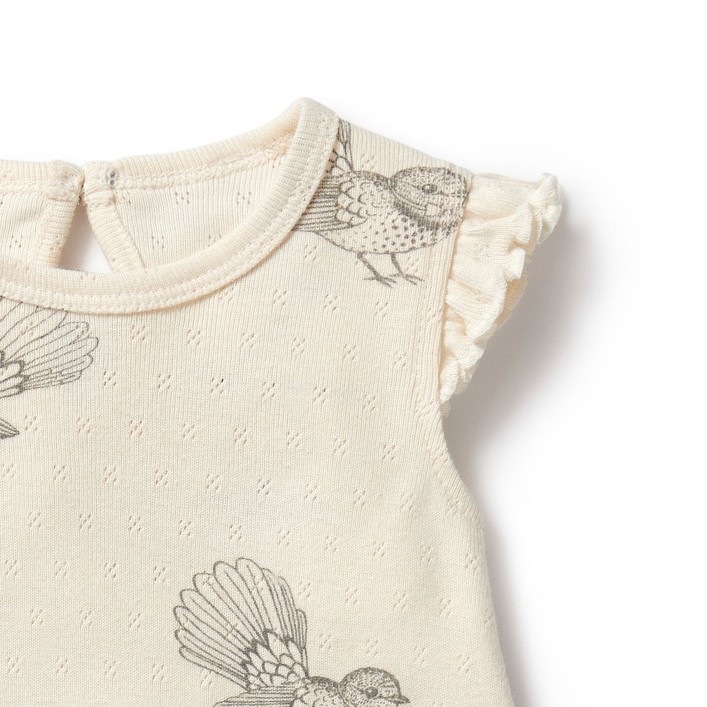 "Wilson & Frenchy" - Little Fantail Ruffle Pointelle Growsuit