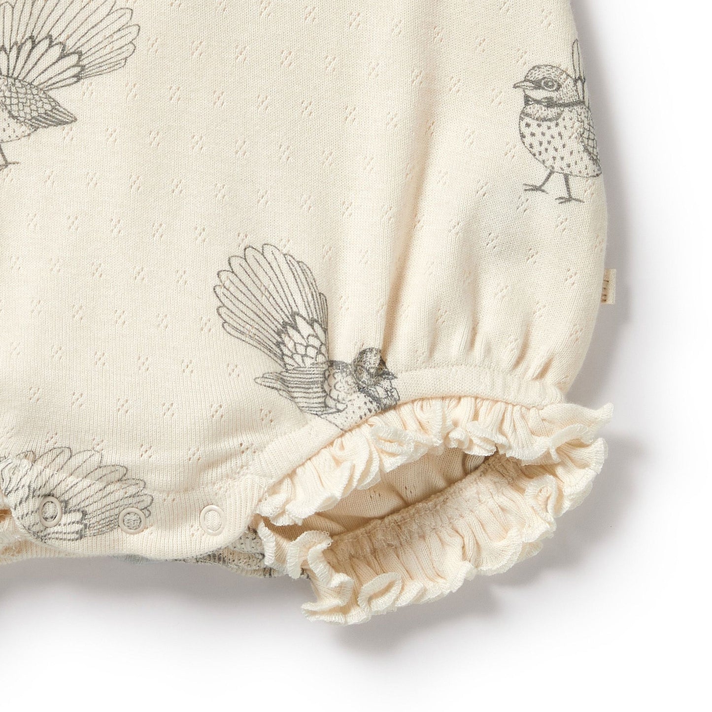 "Wilson & Frenchy" - Little Fantail Ruffle Pointelle Growsuit