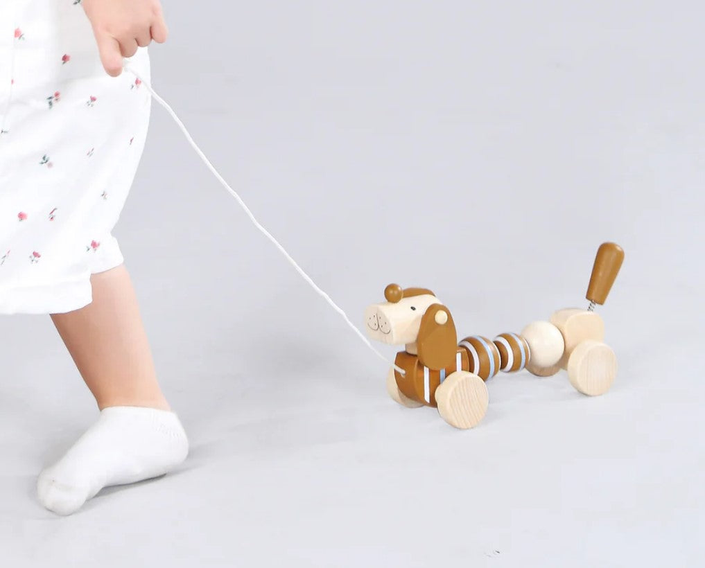 "Kaper Kidz" - Pull Along Sausage Dogs