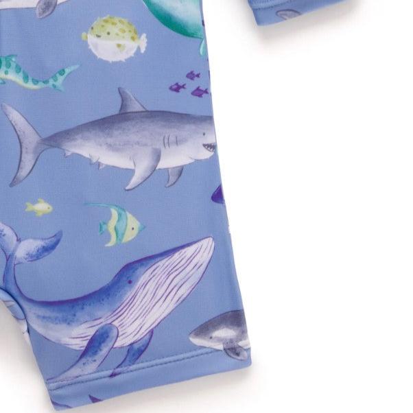 "Purebaby" - Swim Sunsuit - Shark Print
