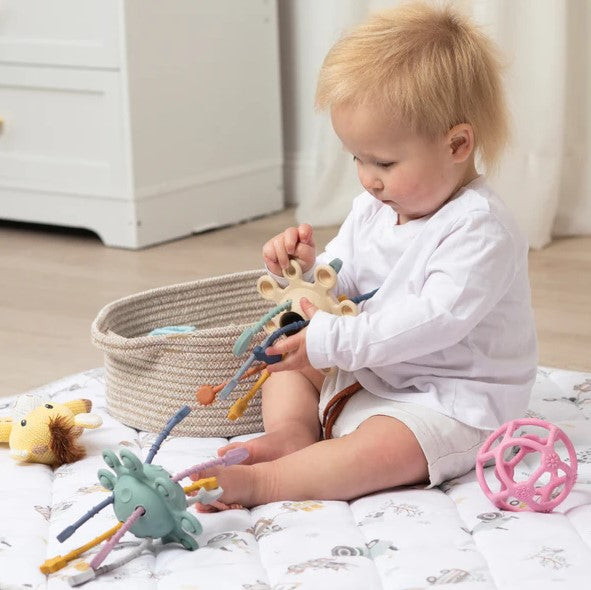 "Playground" - Silicone Zippy Activity Toy - Jimmy