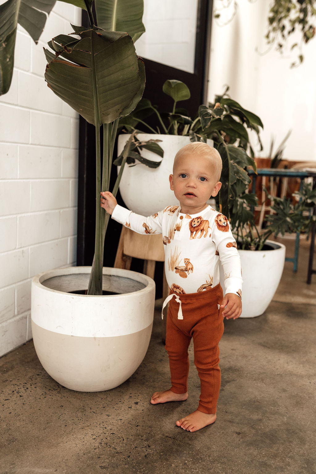 "Snuggle Hunny" - Long Sleeve Bodysuit - Lion
