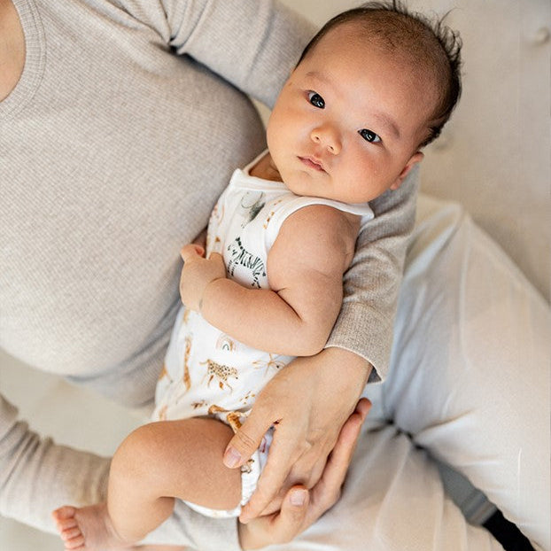 "Bebe" - Billie Print Button Front Bodysuit