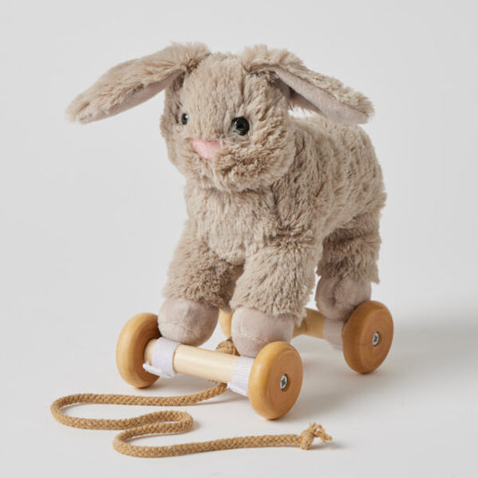 "Jiggle & Giggle" - Plush Pull Along - Bunny