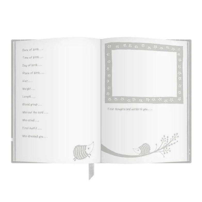 "Early Years Baby Journal"