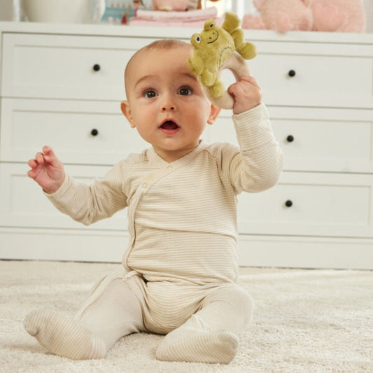 "Jiggle & Giggle" - Fred the Frog Rattle