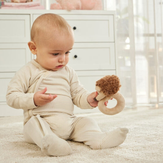 "Jiggle & Giggle" - Peanut the Hedgehog Rattle
