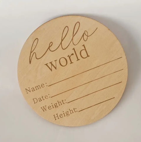 "Cub & Kid" - Hello World Announcement Disc