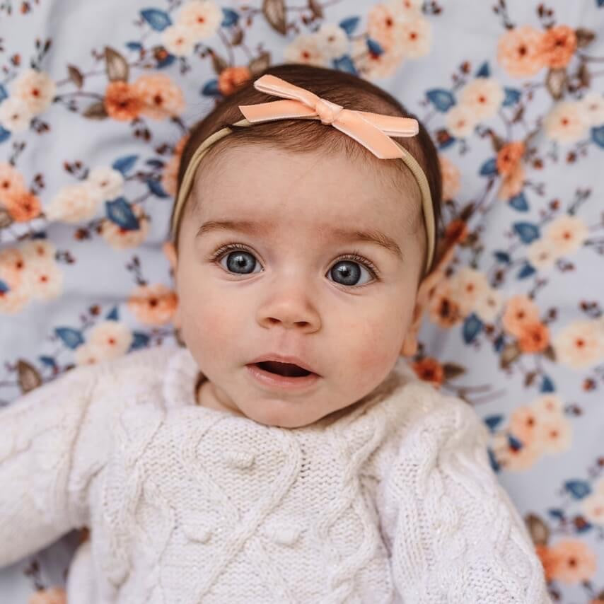 "Snuggle Hunny" - Petite Velvet Bows