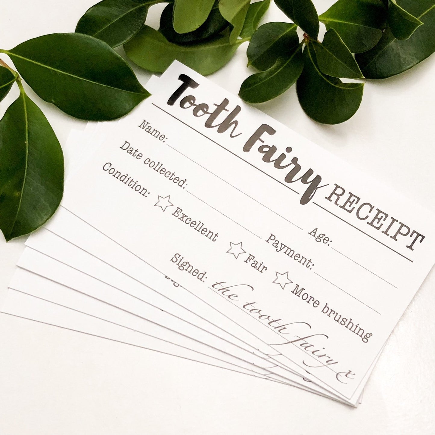 "One.Chew.Three" - Tooth Fairy Kit
